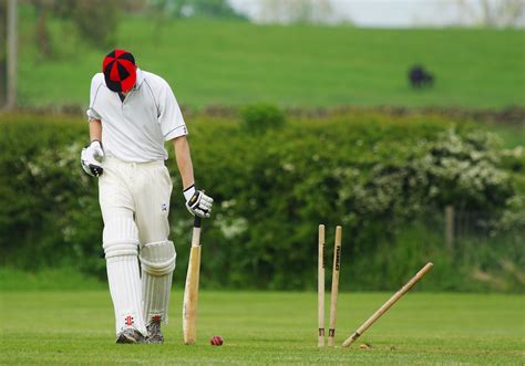 Free Images Man Grass Play Player Pitch Cricket Golf Club Sports Grassland Stumps