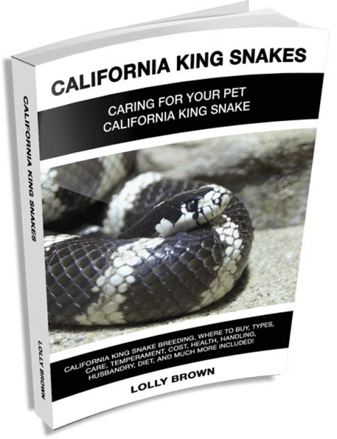 Lolly Brown California King Snake Table Of Contents