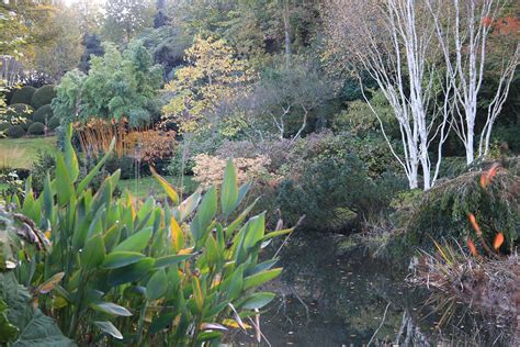 Le Jardin De L Tang De Launay Chez Jean Louis Dantec Arrosoirs Et