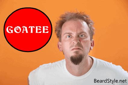 Van Dyke Vs Goatee What S The Difference Beard Style