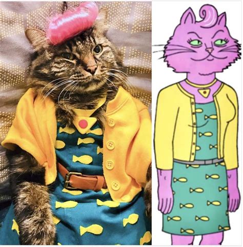 My cat's Princess Carolyn cosplay! He got really into it... : r ...