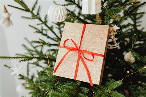 Wrapped Christmas Gift on Fir Tree · Free Stock Photo