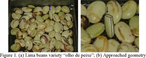 Figure From International Journal Of Food Engineering Drying Kinetics