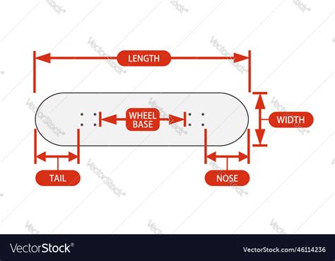 Skateboard size chart Royalty Free Vector Image