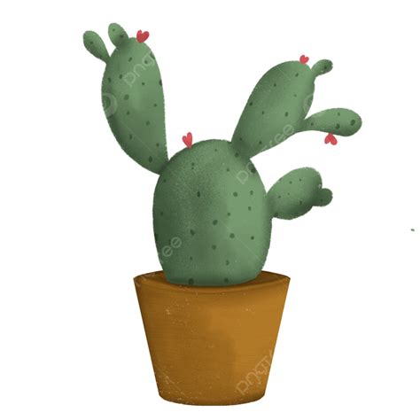 Cactus Illustration PNG Picture Cactus Illustration Png Cactus