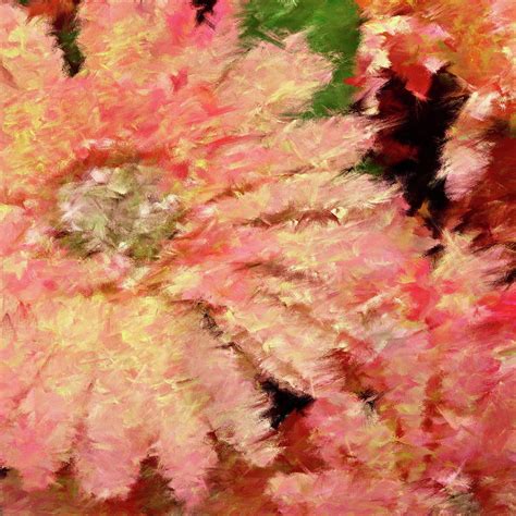 Gerbera Daisy Abstract Digital Art By Dana Roper