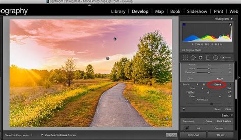 40 Lightroom Tutorials To Master Post Processing