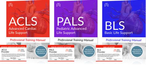 ACLS Algorithms 2023 (Advanced Cardiac Life Support) | Basic life ...