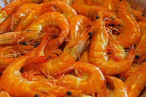 Key Rules To Improve Feed Conversion Ratio Fcr In Shrimp Culture