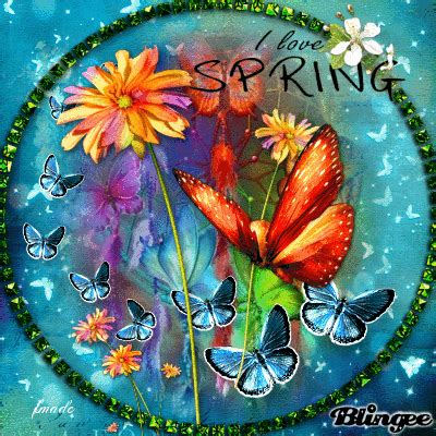 Flowers Butterflies And Image Spring Spring Has Sprung Mother