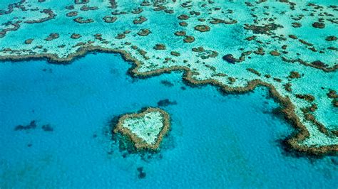 Scientists Discover Secret Reef...Behind the Great Barrier Reef | Condé ...