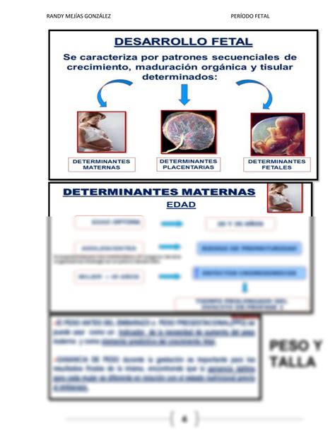 Solution Periodo Fetal En Embriologia De Medicina Y Ciencias De