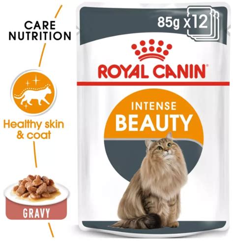 แนะนำ อาหารแมว Royal Canin 5 สูตรที่ดีที่สุด อัปเดตใหม่ล่าสุดของปีนี้