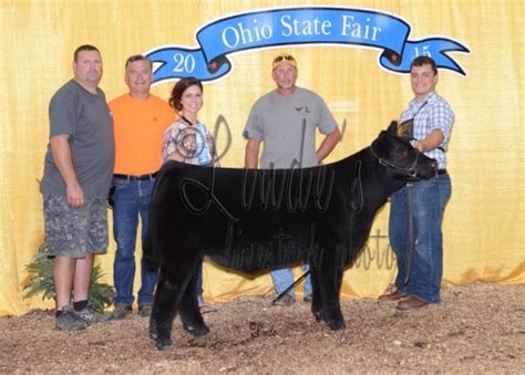 Ohio State Fair Prospect Steer Show Competitive Edge Genetics