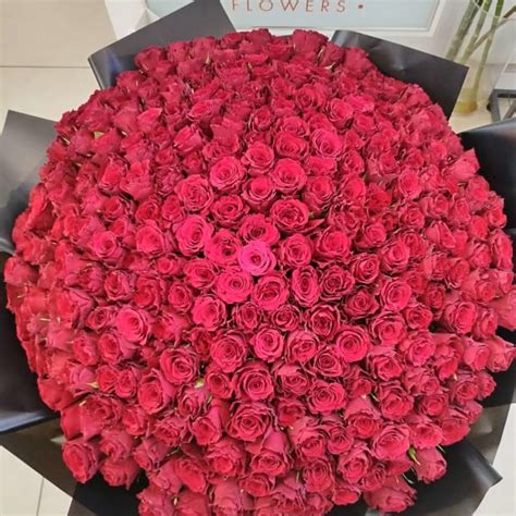 Royal Bouquet of 300 Roses | Flower Bouquet