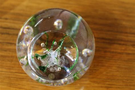 Kosta Glass Seaweed Paperweight LH1809 By Vicke Lindstrand Pure