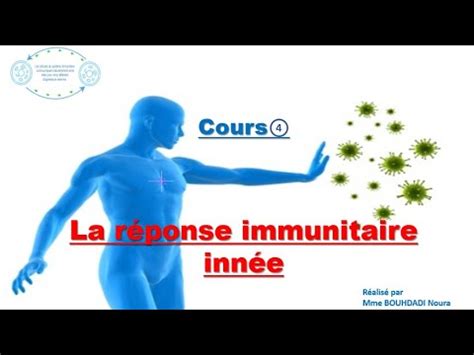 L Immunit Inn E Non Sp Cifique Les R Ponses Immunitaires L