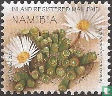 Succulents Inland Registered Mail Paid (2007) - Namibia - LastDodo