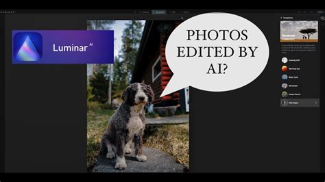 Luminar Ai Edit Photos With Templates 8 Photos Edited Youtube