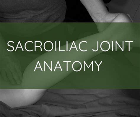 Sacroiliac Joint Anatomy - Spontaneous Muscle Release ...