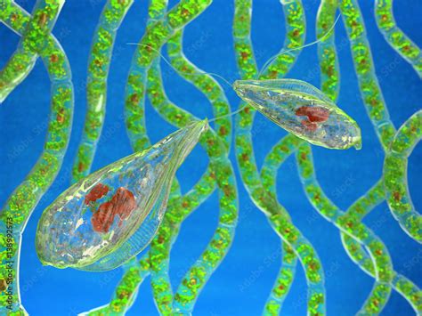 Flagellate protozoa microorganisms. 3d image. Stock Illustration ...