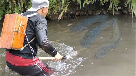 Spot Ini Banyak Di Huni Para Ikan Predator Nyetrum Ikan Dapat Banyak