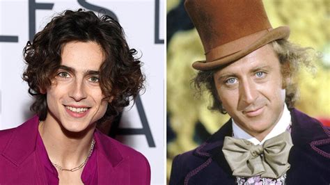 Timothee Chalamet to Star as Willy Wonka in Prequel at Warner Bros