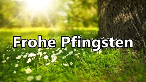 Pfingstgr E Whatsapp Kostenlos Sch Ne Pfingsten Gr E Pfingstgru