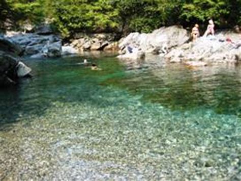 Canoeing Widgeon Creek - Pitt Meadows