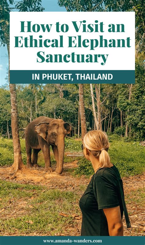 Visit This Truly Ethical Elephant Sanctuary In Phuket Thailand