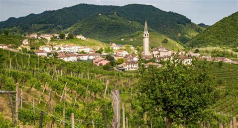 The 5 Best Wines Of Veneto, Italy - DrinkStack