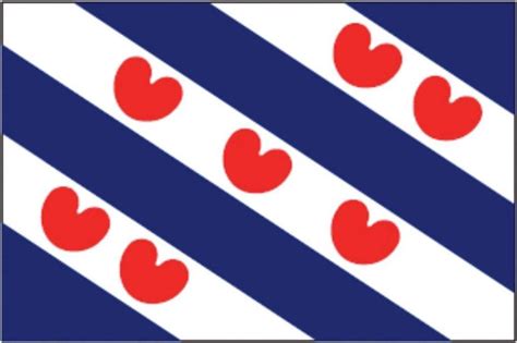 Dokkumer Vlaggen Centrale Friese Vlag X Cm Bol