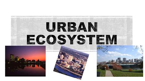 URBAN ECOSYSTEM.pptx