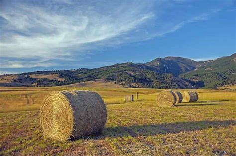 The Homestead Bozeman, Montana - Land for Sale | Bozeman Luxury Real Estate