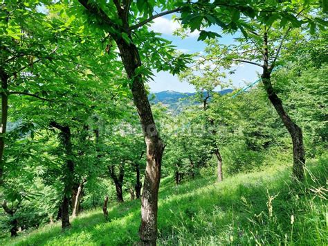 Terreno Agricolo Via Lagune Sasso Marconi Rif Immobiliare It