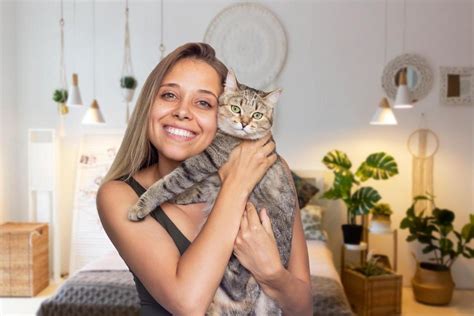 Como Saber Quantos Meses Tem Um Gato Descubra A Idade Do Seu Felino