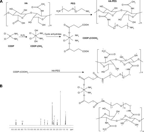 Synthesis Scheme A And H Nmr Spectroscopy B Of Ha Peg Cddp Prodrug