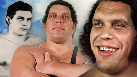 Andre The Giant 16 Unforgettable Tales Told By His Friends