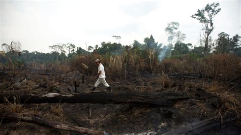 La Deforestación En La Amazonía Brasileña Bate Récord En Octubre Y Supera Todo 2021