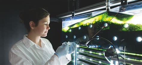 Leitprojekt Futureproteins Fraunhofer Ime