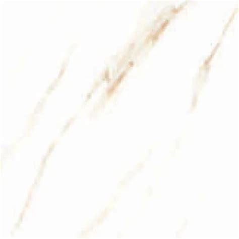 Silky Polished Porcelain Tiles Thickness 10 12 Mm Size Large At