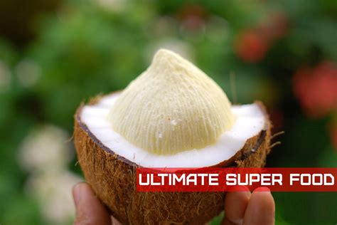 Benefits of Coconut Flower/ Coconut Embryo - YIIS Technology