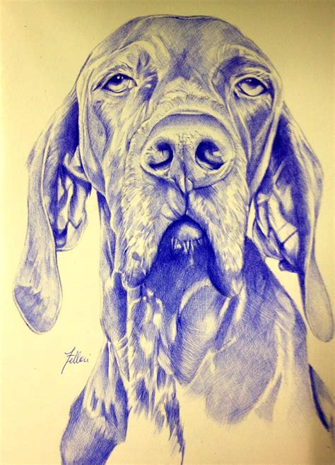 Penna Biro Ballpoint Pen 40x30cm On Paper Biro Art Ballpoint Pen Art