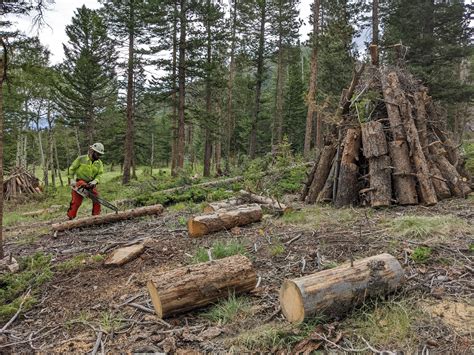 Rocky Mountain National Park to reduce wildfire risks with fuel