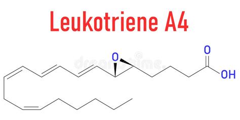 Leukotriene A Or Lta Molecule Skeletal Formula Stock Vector