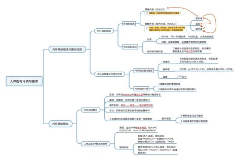 高二生物 选择性必修一 第1、2、4章 人体的内环境与稳态 神经调节 免疫调节 思维导图 哔哩哔哩