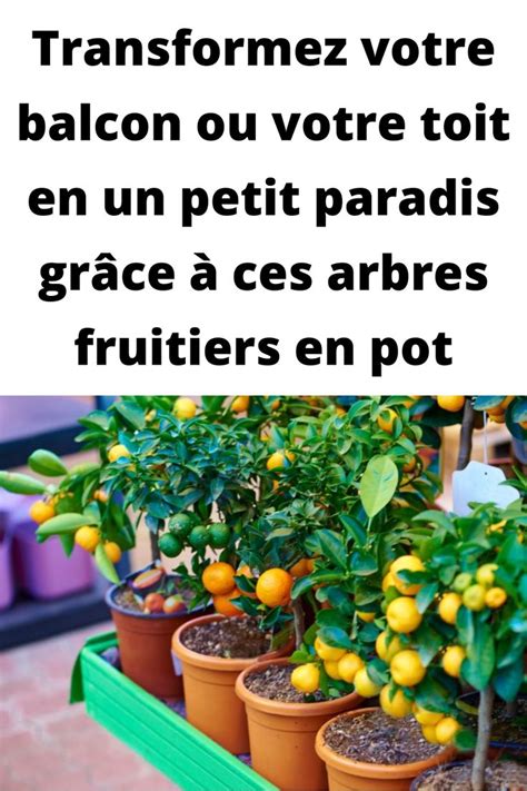 Transformez Votre Balcon Ou Votre Toit En Un Petit Paradis Gr Ce Ces