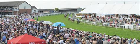 Private Boxes Beverley Racecourse | Racecourse Hospitality