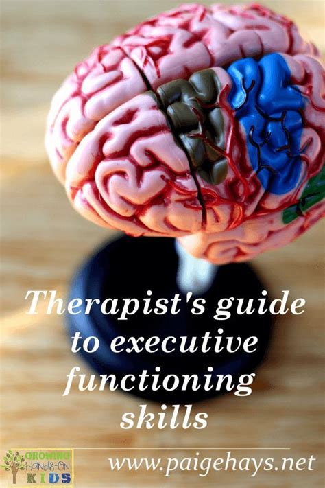 What Therapists Need To Know About Executive Function Skills