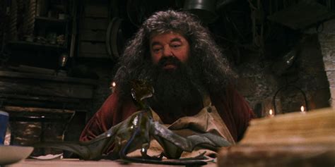 Harry Potter Hagrids 10 Best Quotes Ranked